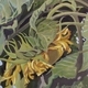 Ah! Sun-Flower