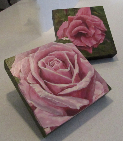 Debutante, Hot Pink Beauty 8 X 8 X 1.5"