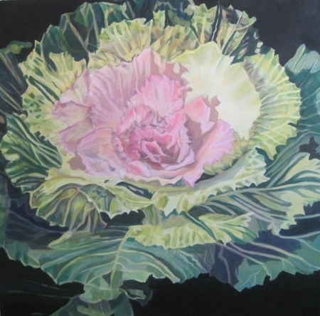 Pink Flowering Kale 24 X 24